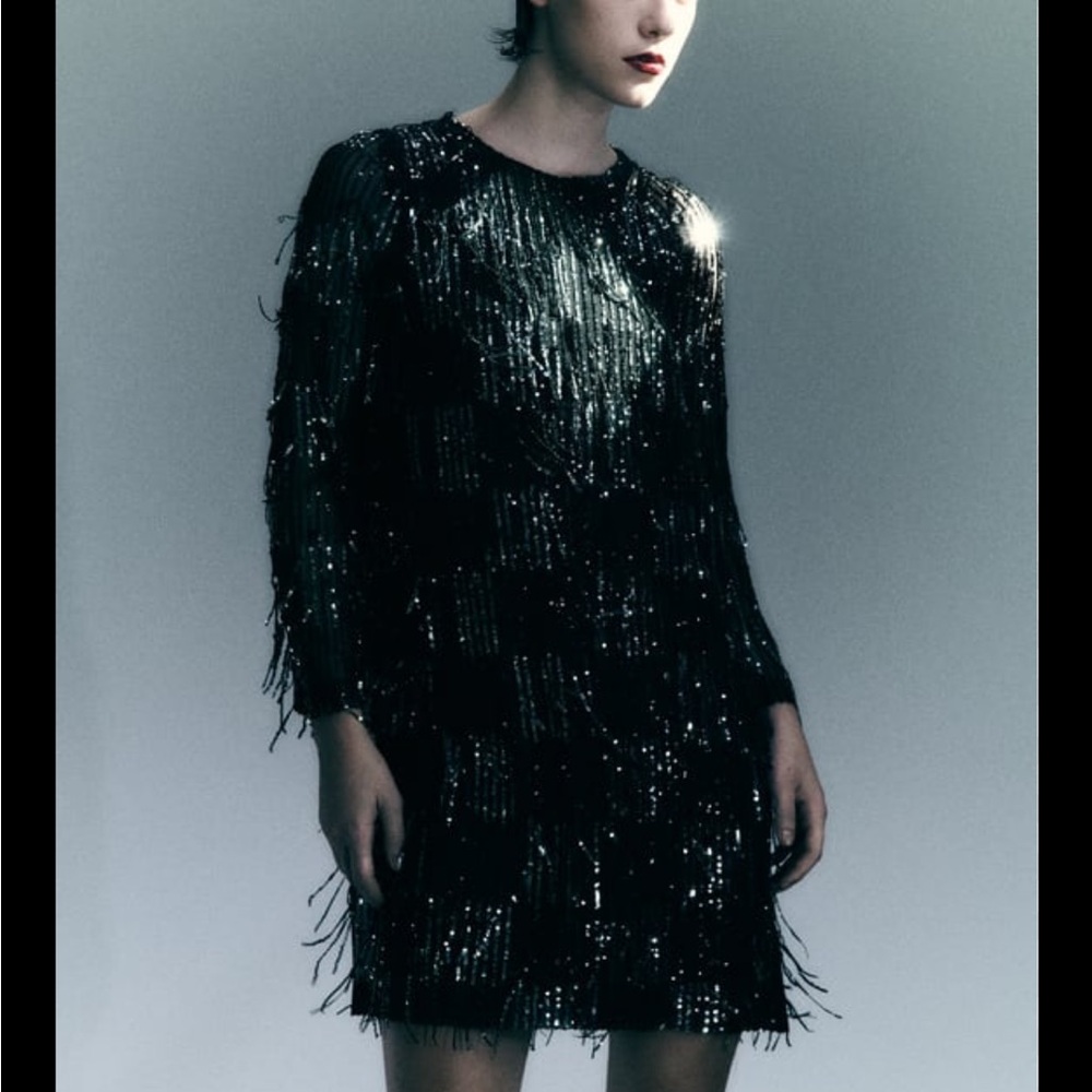 Zara sequin fringe mini party dress